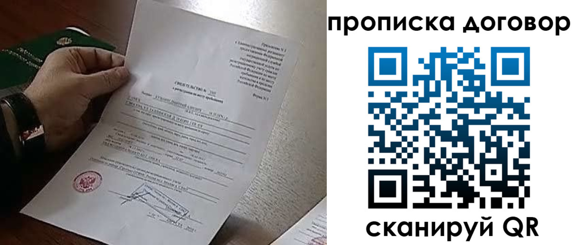 прописка законно в Светлогорске